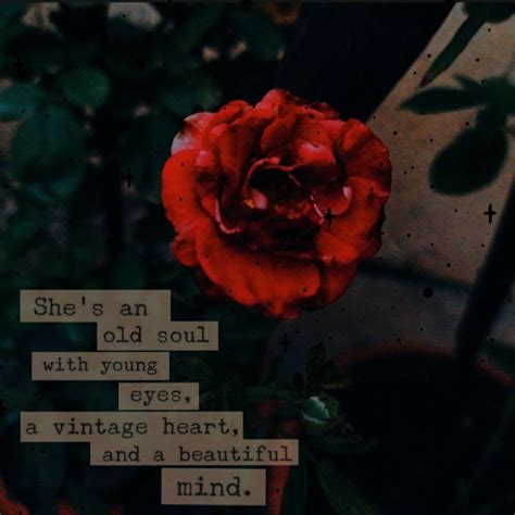 Rose quotes | Rose quotes, Red roses quotes, Quote aesthetic