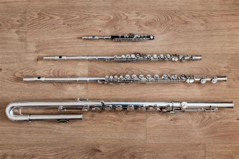 5 Best Professional Flutes Reviewed in Detail [Oct. 2024]