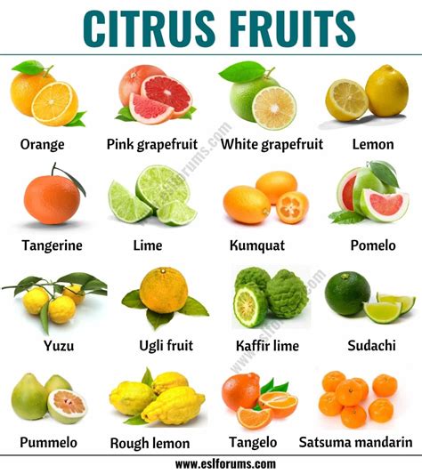 Citrus Fruits: List of 15+ Citrus Fruits with ESL Picture and Example ...