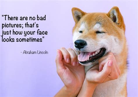 58 Funny Photography Quotes to Brighten Your Day