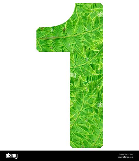 number 1 with fern texture, isolated on white background, font ...