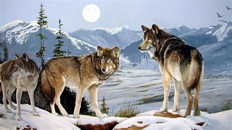 art, Oil, Painting, Drawing, Three, Wolves, Peaks, Winter, Moon ...