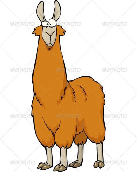 Lama Cartoon Animal