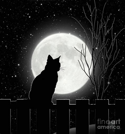 Moon Bath II Black Cat contemplates the full moon Photograph by Tina ...