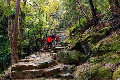 7 Awesome Places to Go Hiking Near Tokyo | JOBS IN JAPAN