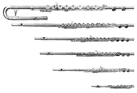 Instrument Family - FLUTE FACTS