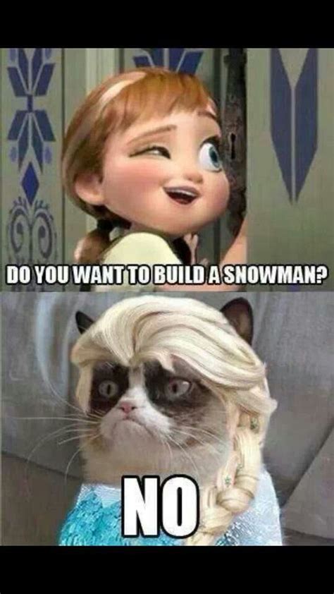 Frozen Cat Meme - Quotes Viral