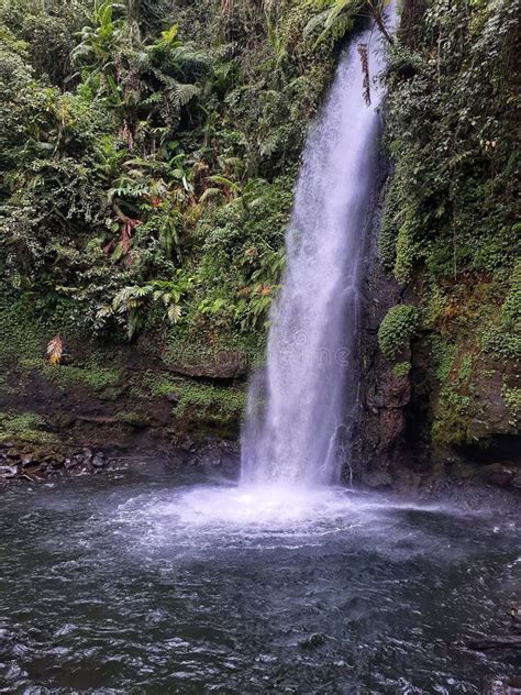 Sawer Waterfall in Sukabumi Stock Photo - Image of tngp, tourism: 183413768