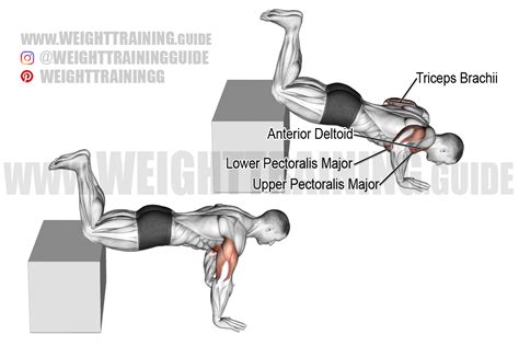 Decline knee push-up exercise instructions and video | weighttraining.guide