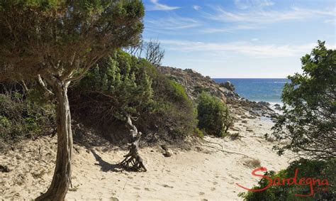 Chia - a quaint village nestled between beach and dunes | discover ...