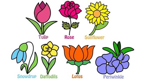 how-to-draw-and-colouring-flowers-for-kids-learn-flower-names-in ...