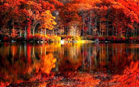 Autumn Lake Desktop Wallpaper - WallpaperSafari