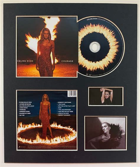 CELINE DION Courage Album Display With Authentic Cd - Etsy