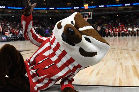 Wisconsin mascot tales: Life as Bucky Badger, from pushups to antics to ...