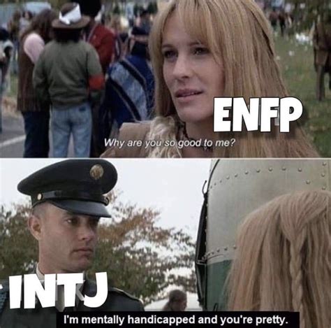 Enfp And Infj, Intj T, Infj Mbti, Entp, Introvert, Enfp Personality ...