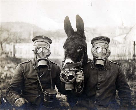 Kompatibel mit Mentor Kalt werden world war i gas mask Ideal ...