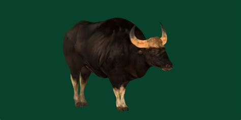 Malayan Gaur Indian Bison - 3D Model by Nyilonelycompany