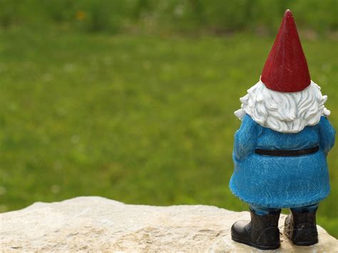 Garden Gnome Wallpaper (61+ images)