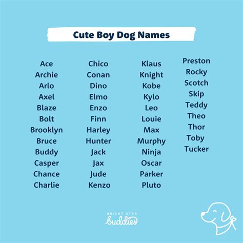 Top 200 Dog Names - Cute Dog Names You'll Love - BSB