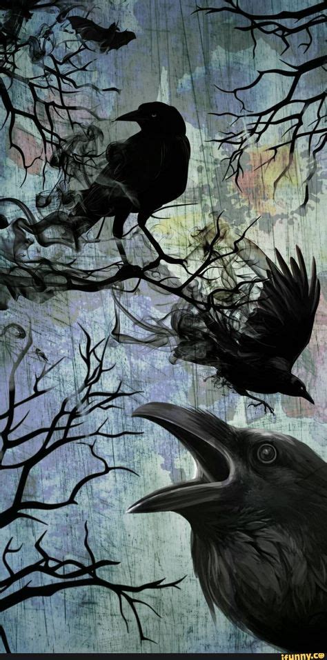 570 Raven Crow Woman ideas in 2021 | black bird, crow, raven