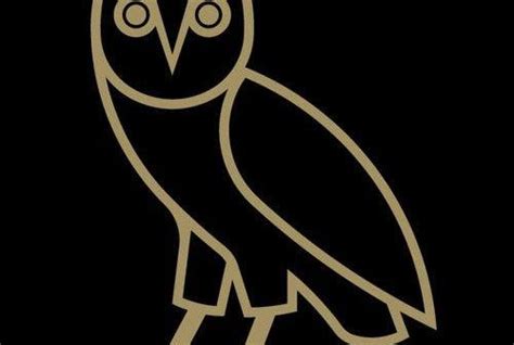 Drake Owl Logo - LogoDix