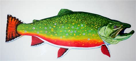 Brook Trout Drawing at GetDrawings | Free download