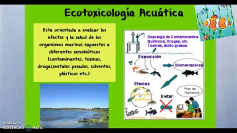 ECOTOXICOLOGIA - YouTube