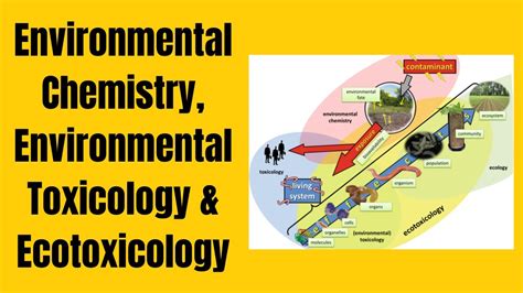 Environmental Chemistry, Environmental Toxicology & Ecotoxicology - YouTube