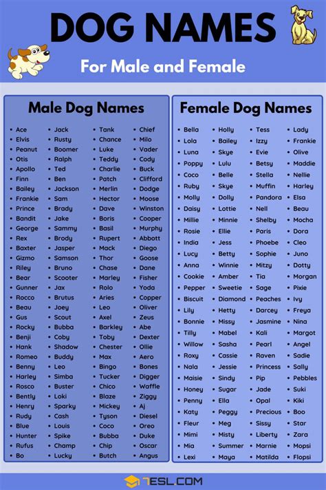 Dog Names: 100+ Most Popular Male and Female Dog Names • 7ESL