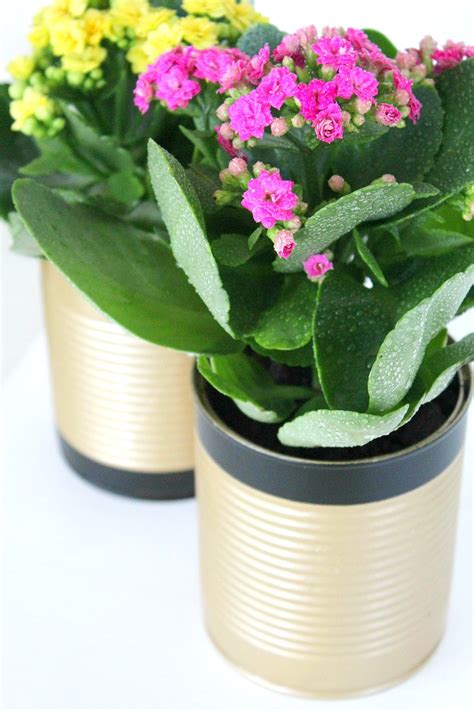 How to make tin can flower pots