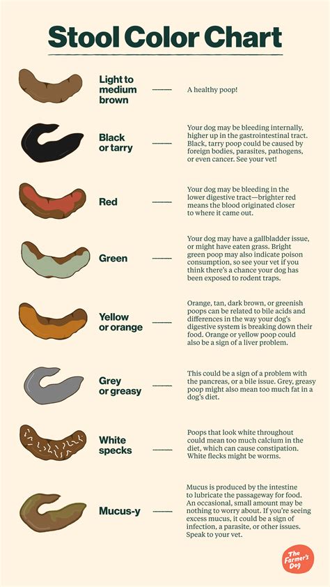 dog poop color chart find out what each color means - dog poop color ...