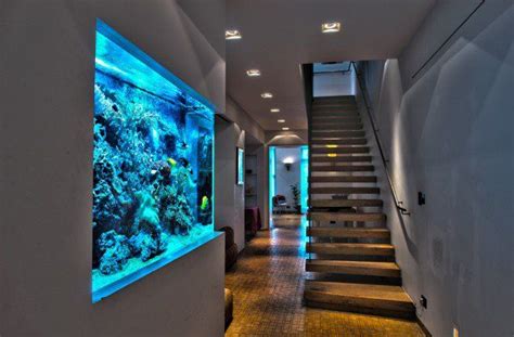 Wall Aquarium Design Ideas for Your Home