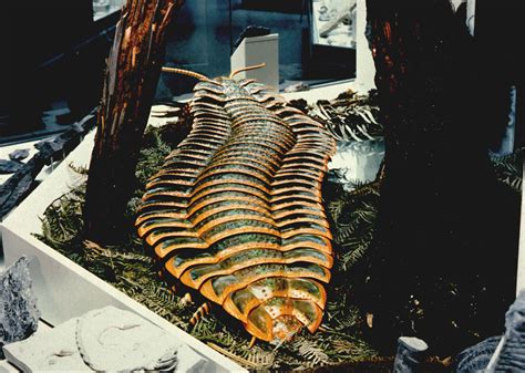 Arthropleura: A prehistoric bug hunt – Deposits Mag