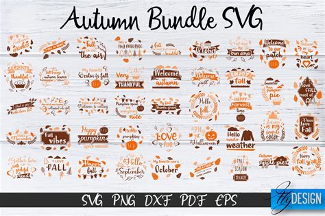 Fall SVG Bundle. Autumn Bundle svg. Fall quotes Designs By Fly Design ...