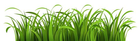 Nature Clipart PNG Image | Grass clipart, Grass silhouette, Grass wallpaper