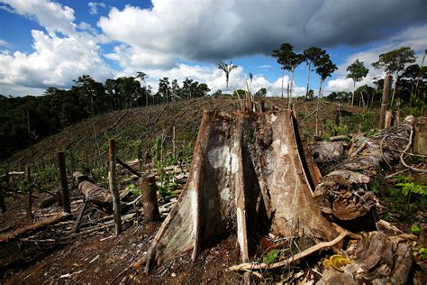 Planet launches Kagglers challenge to address Amazon deforestation ...