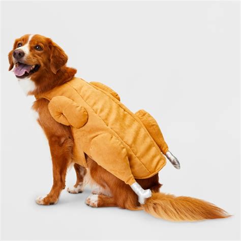 Turkey Dog Costume | Best Target Pet Halloween Costumes 2018 | POPSUGAR ...