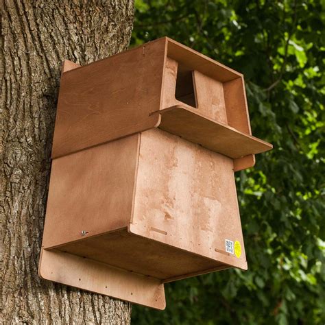 Barn Owl Nest Box | The Nestbox Company