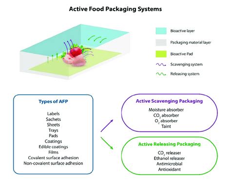 Schematization of the active food packaging (AFP) systems and their ...