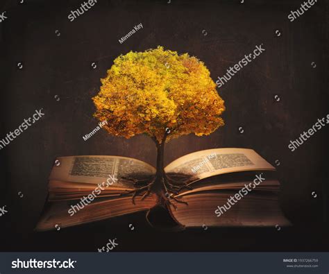 4,685 Rooted God Images, Stock Photos & Vectors | Shutterstock