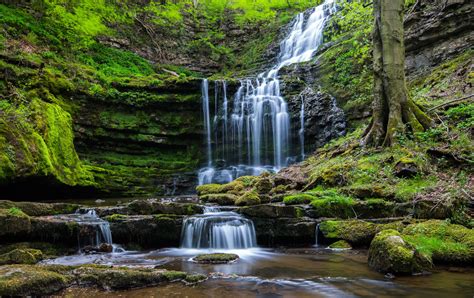 Waterfalls and moss, waterfall, nature, forest HD wallpaper | Wallpaper ...