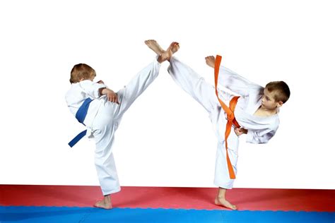 Karate vs. Taekwondo: What's the Difference?