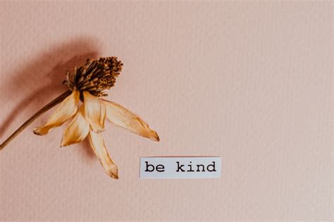 50 Kindness Quotes That Will Inspire You To Be Kind - Antimaximalist