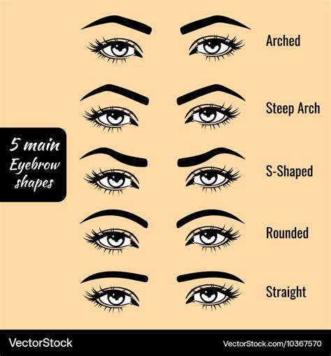 Eyebrow Pictures Shapes - EyebrowShaper