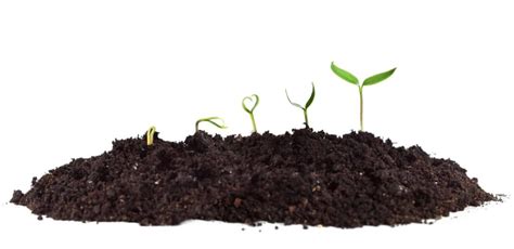 5 Key Factors in Soil Fertility - Fertile Soil – BioAg Products