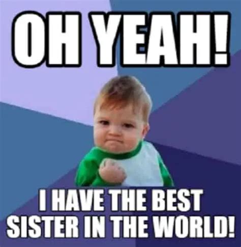 30 Funny Sister Memes for Classic Sibling Amusements – SheIdeas