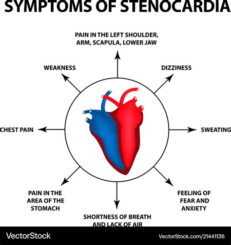 Symptoms angina pectoris heart disease Royalty Free Vector