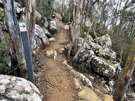 Mt Wellington - Summit Lookouts - Aussie Bushwalking