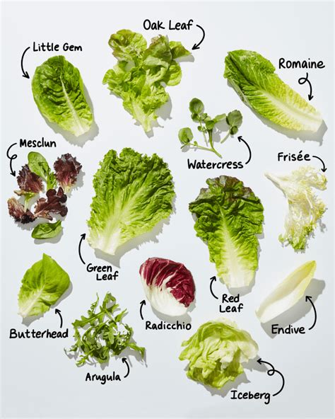 Unveiling the Green Secret: The Role of Lettuce in a Fiesta Taco Salad ...