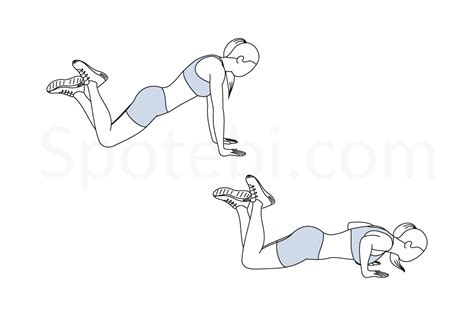 Knee Push Up | Illustrated Exercise Guide